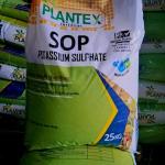 Korean Imported SOP (Potassium Sulphate) Water Soluble Fertilizer – 50% K₂O – 25KG